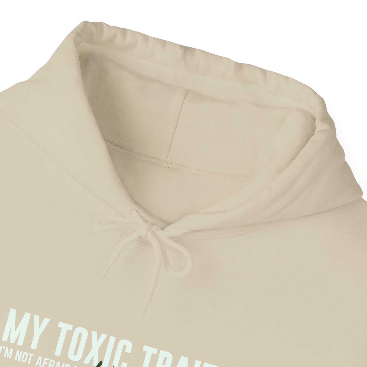 The Boundaries Hoodie